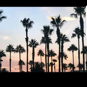 Meet your Posher, Tammy